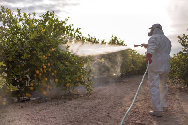 Professional Pest Control in Greenville, KY
