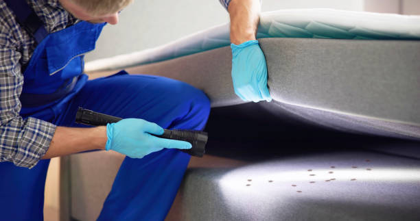 Wasp Removal Services in Greenville, KY