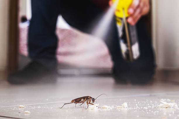 Best Pest Prevention Services  in Greenville, KY